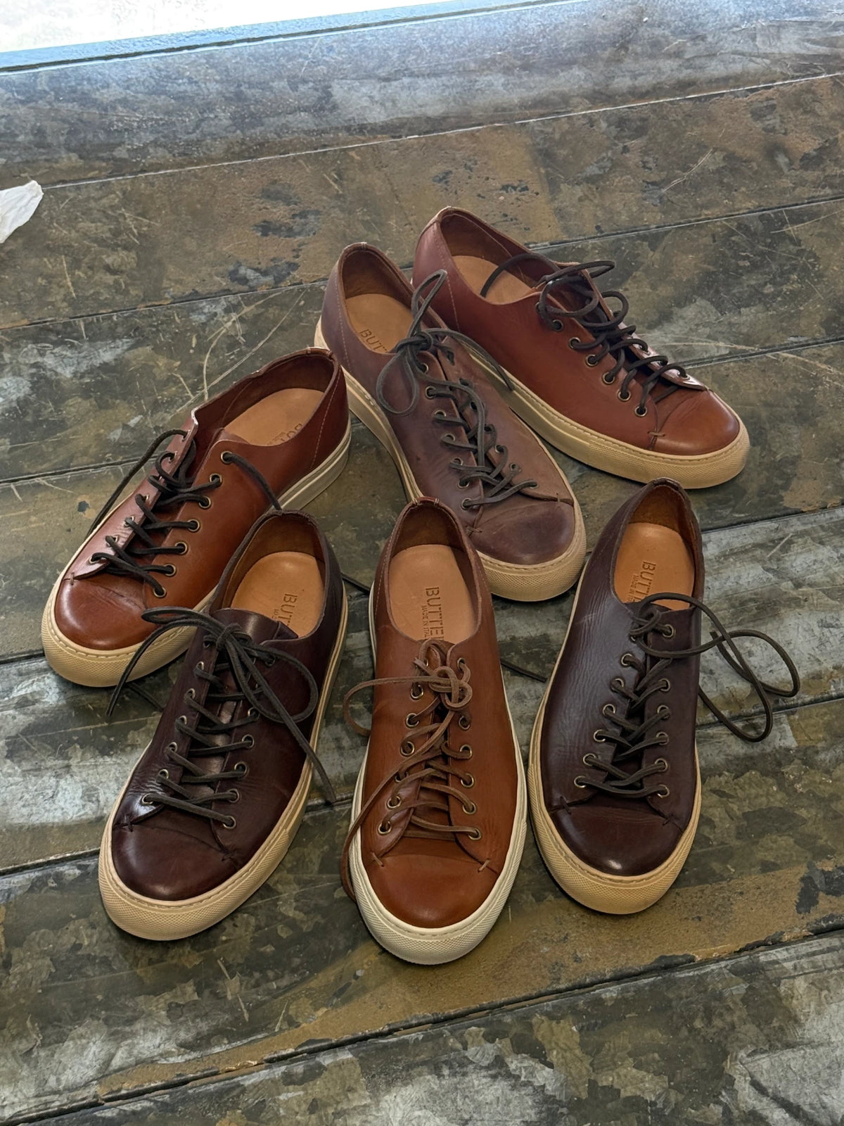 Six Tanino sneakers in brown and burgundy leather with cream soles